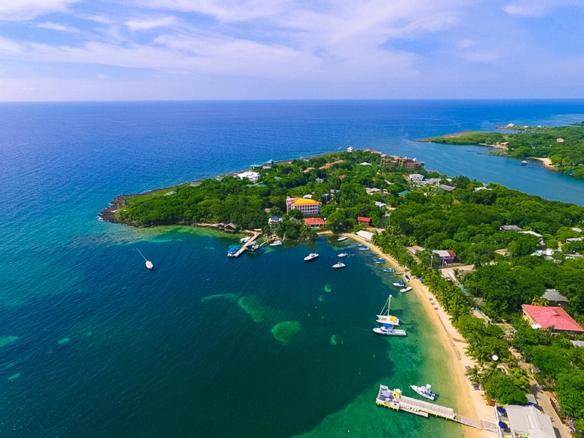 Mr. Tucan Hotel West End Εξωτερικό φωτογραφία